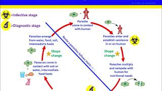 Chapter 1 Introduction to Parasitology [upl. by Hapte]