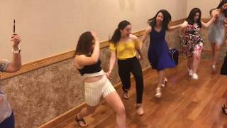 Lebanese Dabke Ladies [upl. by Aleron]