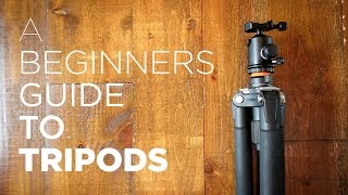 Beginners Guide to Tripods  Benefits How to Use Recommended Tripod Gear [upl. by Luapnaej]