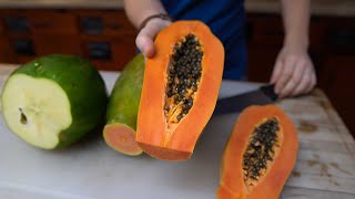 Papaya is a MUSTGrow Crop in Florida  Cultivation Info  Cooking Show HEART Village [upl. by Lletnuahs]