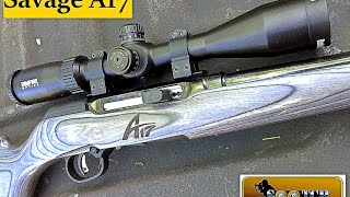 Savage A17 17 HMR Semi Auto Rifle Review [upl. by Thorne964]