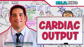 Cardiovascular  Cardiac Output [upl. by Anitram]