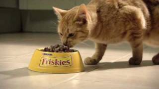 Friskies Cat [upl. by Childs]