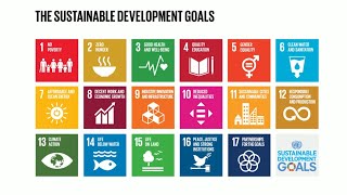 Do you know all 17 SDGs [upl. by Ekim]