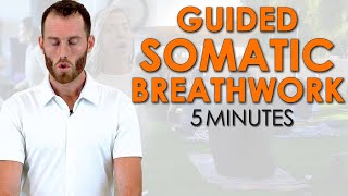 5 MIN Guided Somatic Release Breathwork Meditation [upl. by Kelleher602]