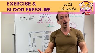 Exercise amp Blood Pressure [upl. by Finegan]