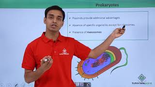 Class 11th  Prokaryotes – Introduction  Cell The unit of Life  Tutorials Point [upl. by Oad197]