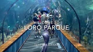 LORO PARQUE TENERIFE CANARY 2023 4K [upl. by Alrich]