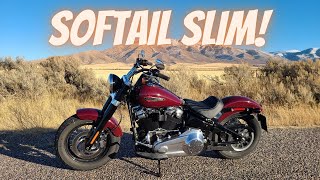 Softail Slim Why I traded in my Softail Standard [upl. by Fredie868]