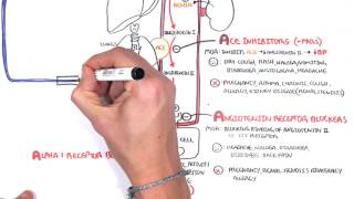 Pharmacology  Antihypertensives [upl. by Alberik]