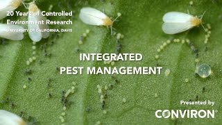 UC Davis  Integrated Pest Management [upl. by Stinky]