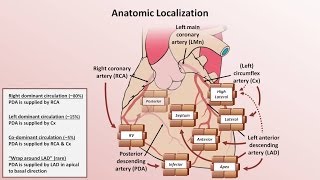 Intro to EKG Interpretation  Myocardial Infarctions Part 1 of 2 [upl. by Herzen]