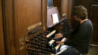 Sander van den Houten  Improvisatie psalm 149  Bätzorgel Lutherse kerk Den Haag [upl. by Kreager]