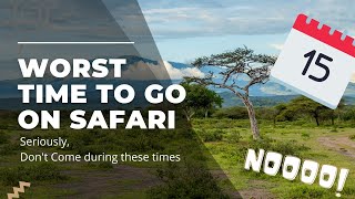 Worst Time to Go on Safari Seriously Avoid these times [upl. by Otreblasiul]