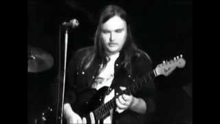 Lynyrd Skynyrd  complete concert from Winterland 1975 [upl. by Saks795]