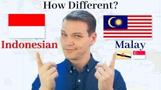 How Different Are Indonesian and Malay [upl. by Nemracledairam]