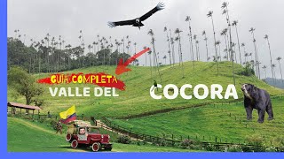 😎 Conociendo el Valle del Cocora 🌴 🐅 Guia Completa  ¿Cuanto Cuesta 💸  Jose De Roce [upl. by Eeluj]