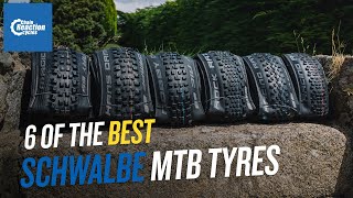 Top Trail and Enduro MTB Tyres  Mega Mountain Bike Tyre Test [upl. by Buck]