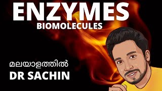 enzymes  ribozymes  biomolecules  class 11  malayalam  knowledge vlogger  NEET  NCERT [upl. by Massiw228]