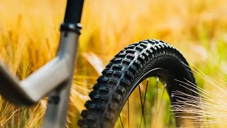 Testing The All NEW Schwalbe Tires  Big Betty And Nobby Nic [upl. by Auliffe315]