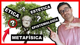 ðŸŒ³ Las RAMAS DE LA FILOSOFIÌA â–º 193 Disciplinas FASCINANTESðŸ˜Ž [upl. by Licha]