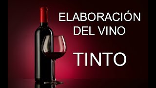 ELABORACIÓN DEL VINO TINTO ✔ [upl. by Einafit]