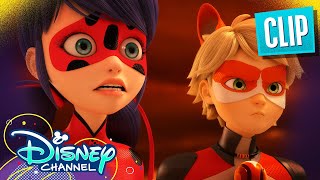 Strikeback  Miraculous Ladybug  disneychannel x Miraculous [upl. by Ainoek1]