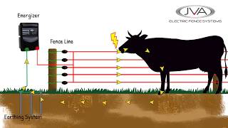 How does an electric fence work [upl. by Zellner354]