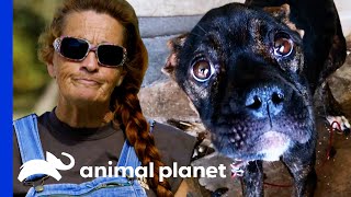 Tia’s Most Heart Warming Moments  Pit Bulls amp Parolees [upl. by Su]