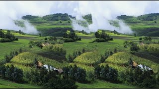 Ethiopia Today Best Ethiopian Instrumental Classical Music  እማማ ሀገሬ ኢትዮጵያ [upl. by Enileuqaj]