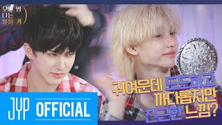 귀여운데 도도하고 까다롭지만 친근한 느낌  오늘 밤 나는 불을 켜AllNight SKZ Ep01 [upl. by Maag559]