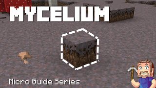 Mycelium  Minecraft Micro Guide [upl. by Namqul364]