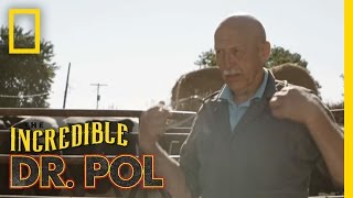 Official Trailer   The Incredible Dr Pol [upl. by Alston646]