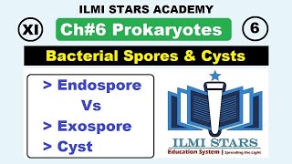 Bacterial Spores  Endospores and Expospores and Cysts Class 11 Biology Chapter 6 Prokaryotes [upl. by Knarf459]