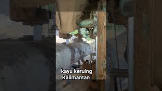 kayu keruing Kalimantan sawmill [upl. by Atrahc956]