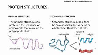 Chapter 23 Biological Molecules  Proteins [upl. by Ut]