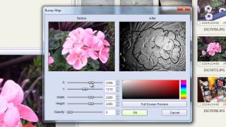 Faststone Image Viewer examined [upl. by Nitram]