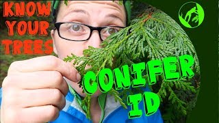 Know Your Trees  Conifer Identification [upl. by Prowel783]