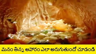 How The Digestive System Works in Human Body in Telugu  Telugu Badi [upl. by Asenad]