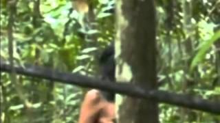 Rare footage of an isolated indian tribe in the Amazon [upl. by Nosrej]