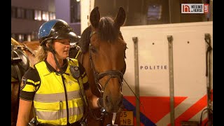 De paarden van de bereden politie [upl. by Carlynne]