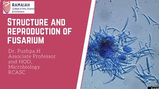 structure and reproduction of Fusarium [upl. by Kurth]