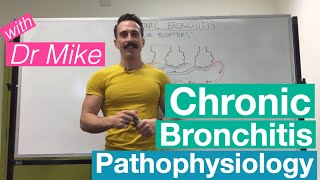 Chronic Bronchitis  Respiratory System [upl. by Ielak]