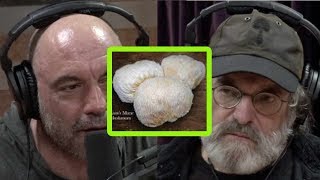 Paul Stamets Miracle Mushrooms Mycelium and Your Health [upl. by Dnarud]