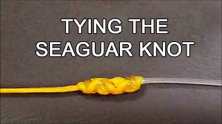 Tying the SeaguarLefty Kreh knot [upl. by Llertnor]