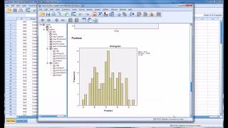 Conducting a ShapiroWilk Normality Test in SPSS [upl. by Morez]