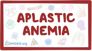 Aplastic anemia  an Osmosis Preview [upl. by Akit]