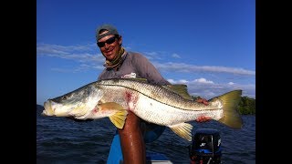 MEU RECORD DE ROBALO GIGANTE FLECHA [upl. by Syramad27]