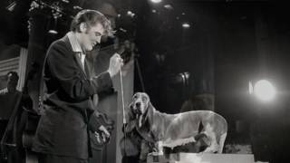 Elvis Presley  Hound dog on the Steve Allen show 1956 [upl. by Olivia635]