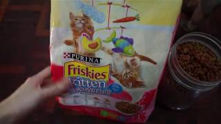 ASMR  Purina  Friskies Kitten amp Seafood [upl. by Panthea662]